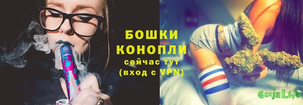 гидра Кодинск