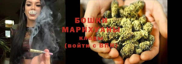 PSILOCYBIN Корсаков