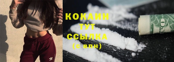 PSILOCYBIN Корсаков