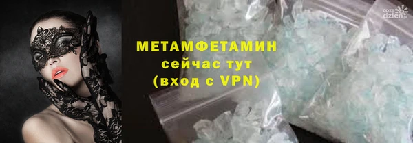 гидра Кодинск