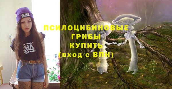PSILOCYBIN Корсаков