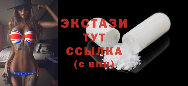 гидра Кодинск