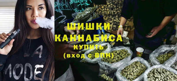 гидра Кодинск