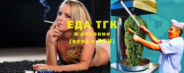 гидра Кодинск
