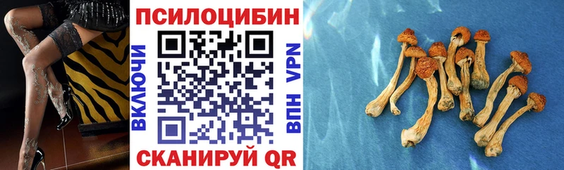наркотики  Кувандык  Галлюциногенные грибы Psilocybe 