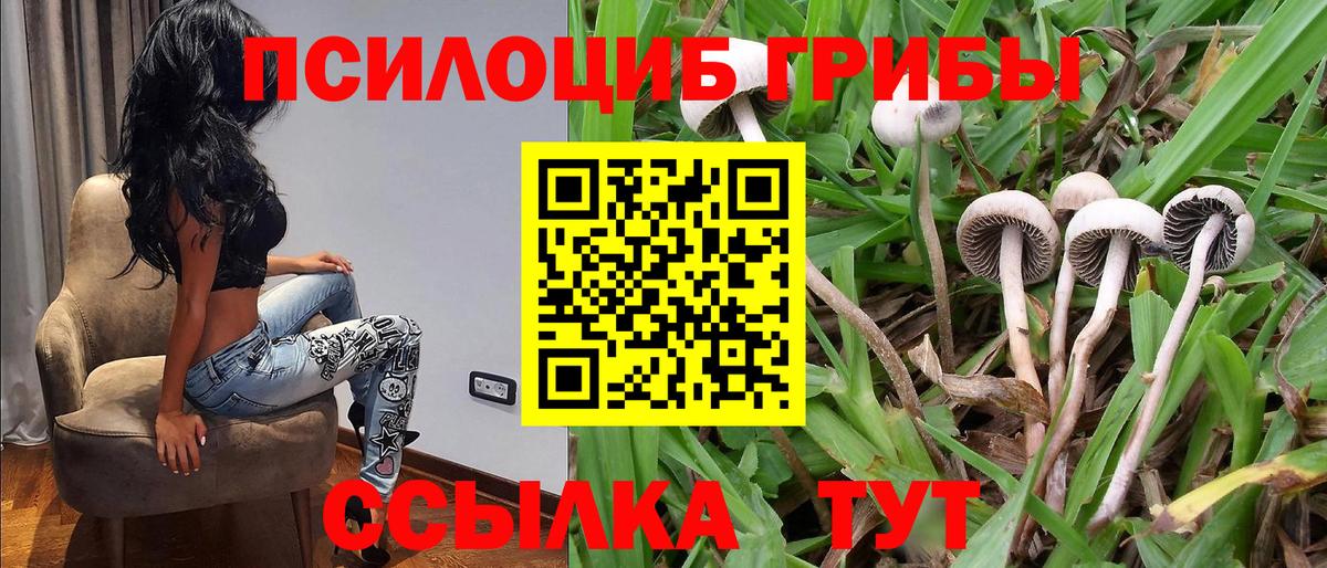 Кувандык  Псилоцибиновые грибы ЛСД  Вход с VPN 