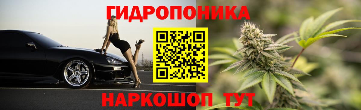Бошки Шишки семена  Марихуана план  Бошки марихуана Bruce Banner  Марихуана гибрид  Вход с VPN  Кувандык 